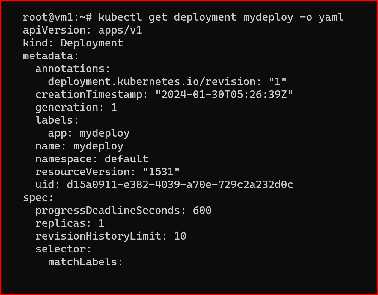 Picture showing the yaml of the deployment
